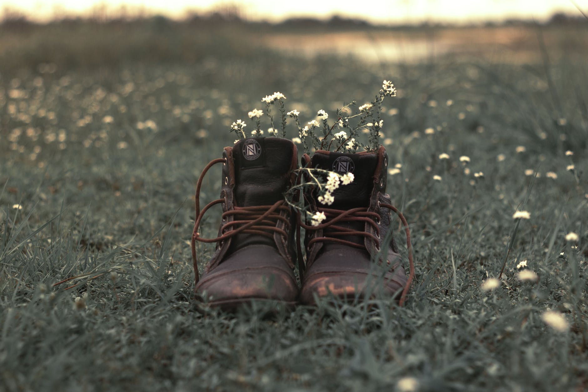 Short Fiction – MOLLIE PLAYER